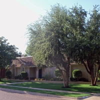 Artificial Grass Winchester Nevada Landscape