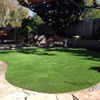 Synthetic Turf Moapa Town Nevada Lawn