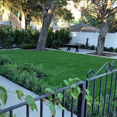 Artificial Grass Indian Springs Nevada Landscape