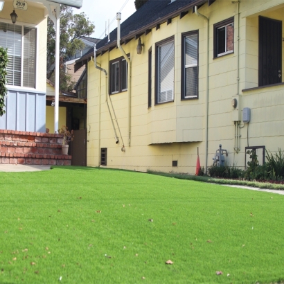 Artificial Grass Paradise Nevada Landscape