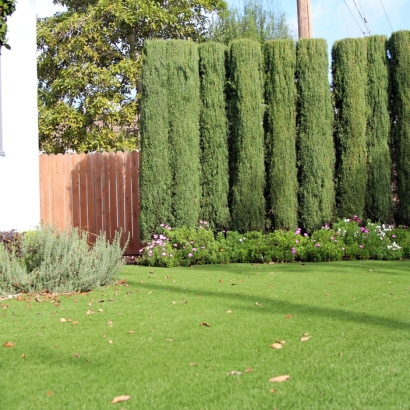 Artificial Grass Paradise Nevada Landscape