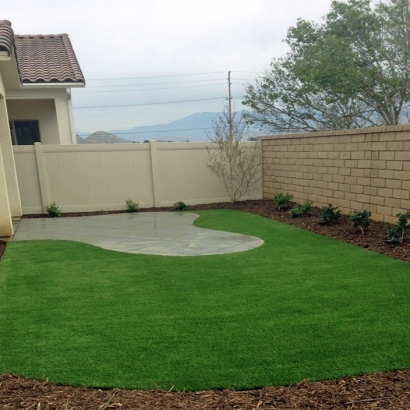 Artificial Grass Summerlin South Nevada Landscape