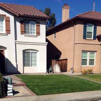 Fake Grass Goodsprings Nevada Lawn