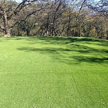 Fake Grass Mount Charleston Nevada Lawn