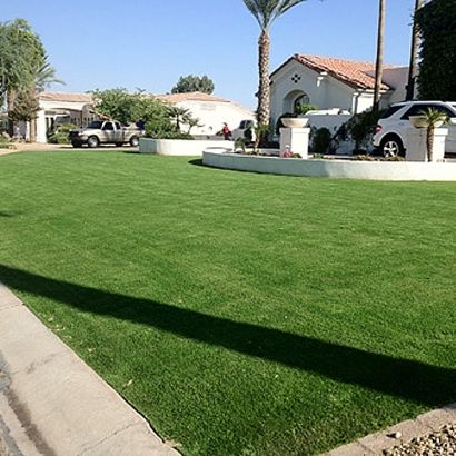 Fake Turf Moapa Town Nevada Landscape