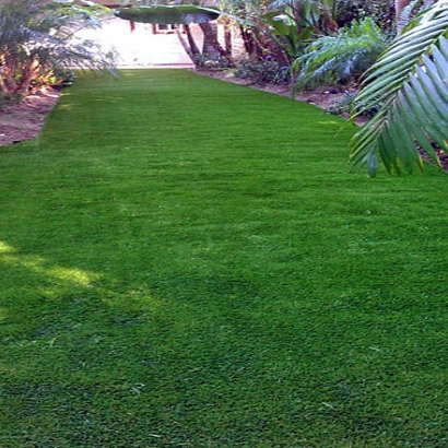 Fake Turf Mount Charleston Nevada Lawn