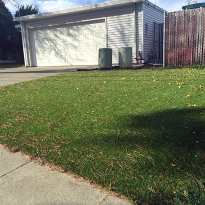 Synthetic Turf Enterprise Nevada Landscape