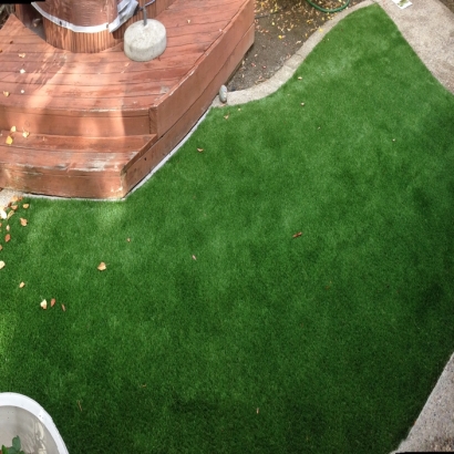 Synthetic Turf Enterprise Nevada Landscape