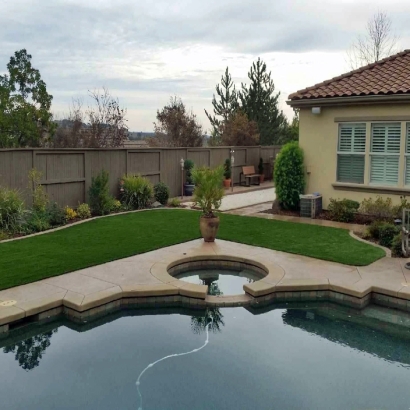 Synthetic Turf Mount Charleston Nevada Landscape