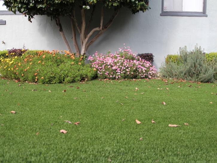 Artificial Grass Indian Springs Nevada Lawn