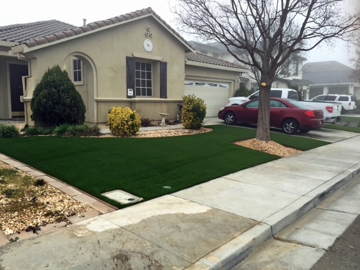 Artificial Grass Paradise Nevada Landscape