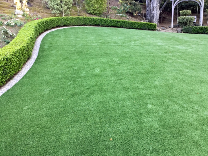 Artificial Grass Spring Valley Nevada Landscape