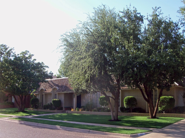 Artificial Grass Winchester Nevada Landscape