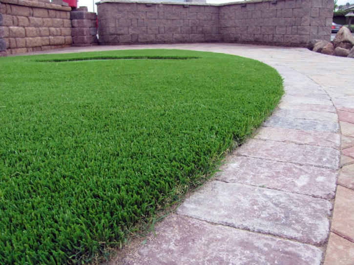 Artificial Pet Turf Whitney Nevada for Dogs