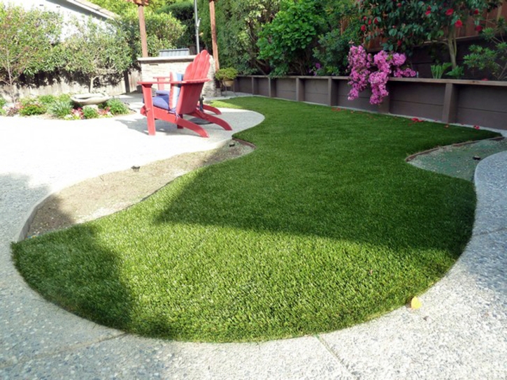 Artificial Pet Turf Whitney Nevada for Dogs