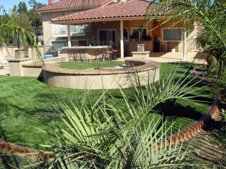 Artificial Turf North Las Vegas Nevada Landscape