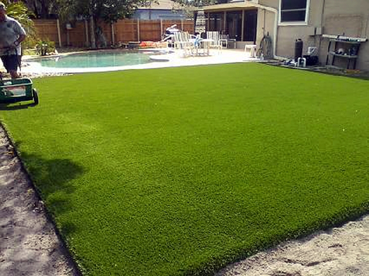 Artificial Turf Whitney Nevada Landscape