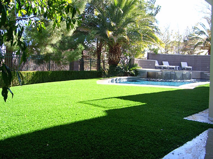 Fake Grass Henderson Nevada Landscape