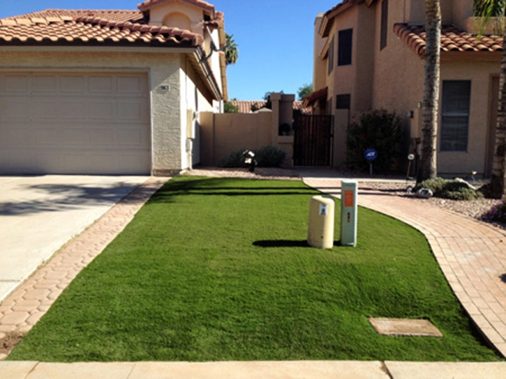 Fake Grass Moapa Valley Nevada Landscape