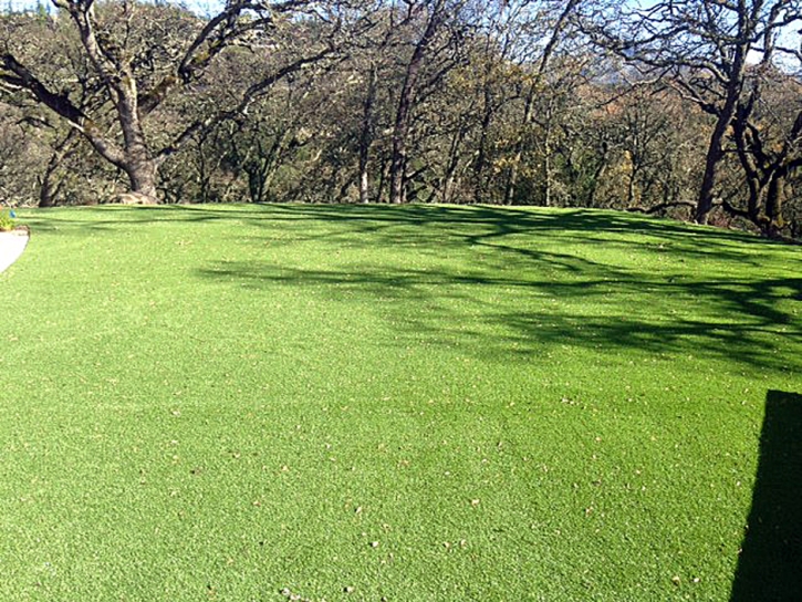 Fake Grass Mount Charleston Nevada Lawn