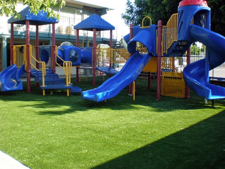 Fake Grass Winchester Nevada Childcare Facilities