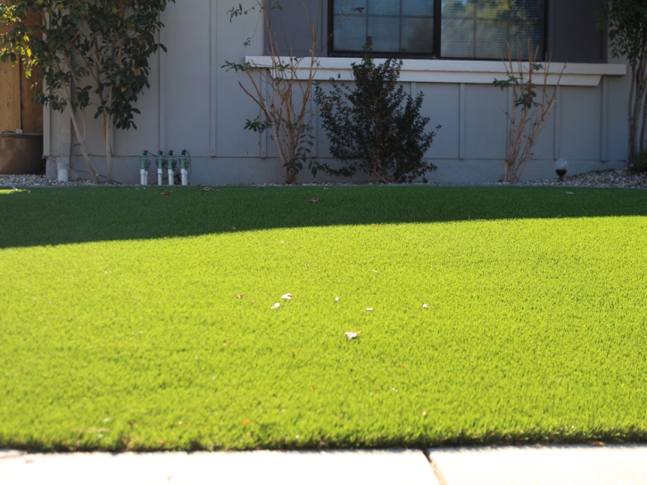 Fake Turf Moapa Town Nevada Landscape