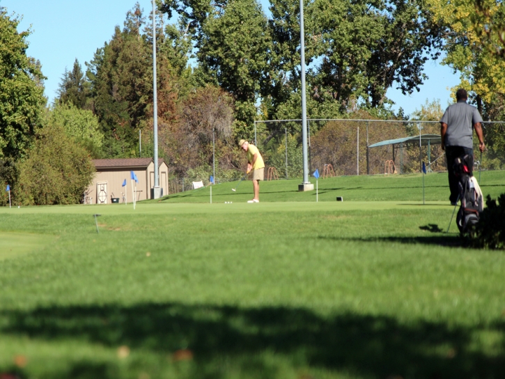 Putting Greens Cal-Nev-Ari Nevada Fake Turf