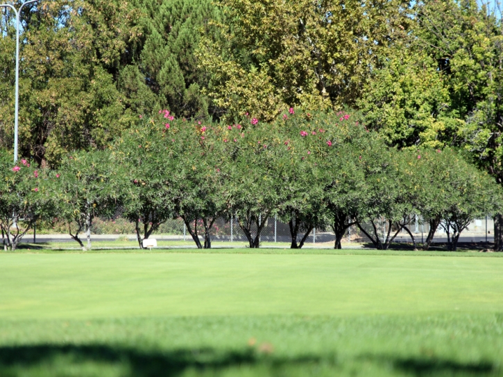 Putting Greens Mount Charleston Nevada Synthetic Turf