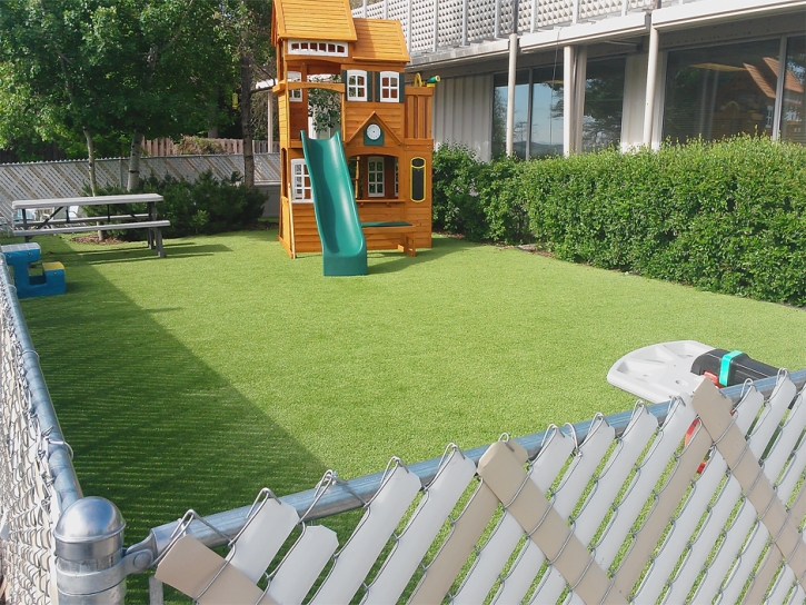 Synthetic Grass Enterprise Nevada Kids Care