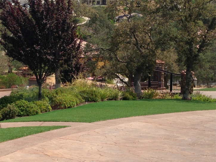 Synthetic Grass Mount Charleston Nevada Lawn