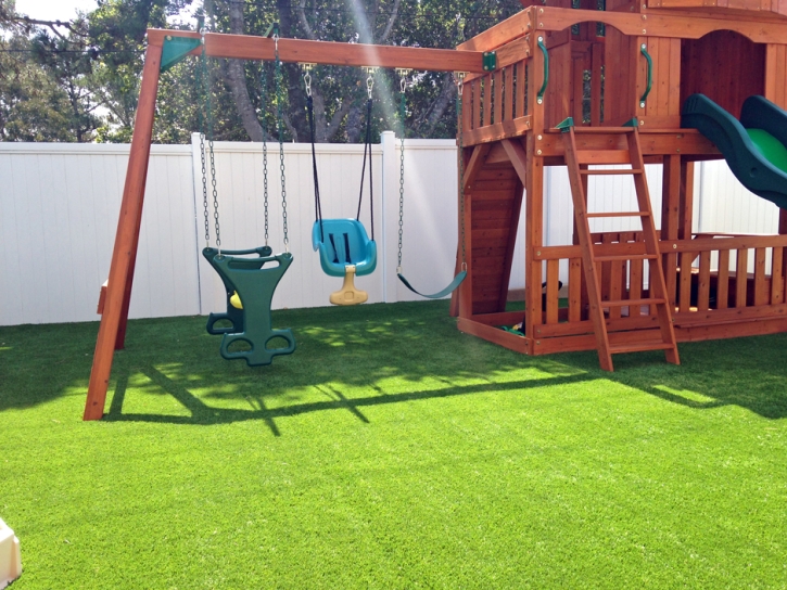 Synthetic Grass Mount Charleston Nevada Kids Care