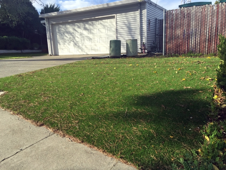 Synthetic Turf Enterprise Nevada Landscape