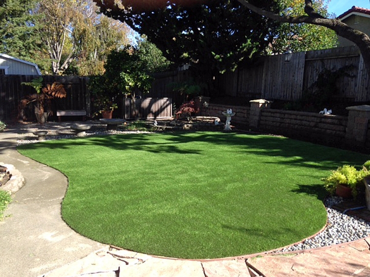 Synthetic Turf Moapa Town Nevada Lawn