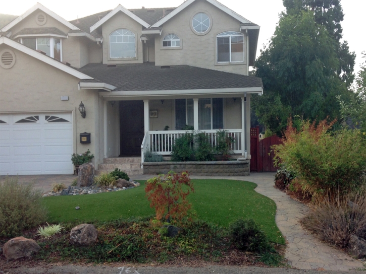 Synthetic Turf Whitney Nevada Landscape