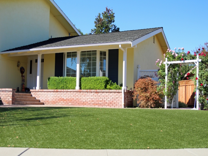 Synthetic Turf Winchester Nevada Lawn